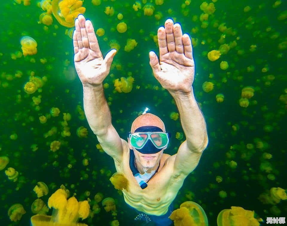 小鱼教您快速解决电脑无声问题，轻松恢复声音播放