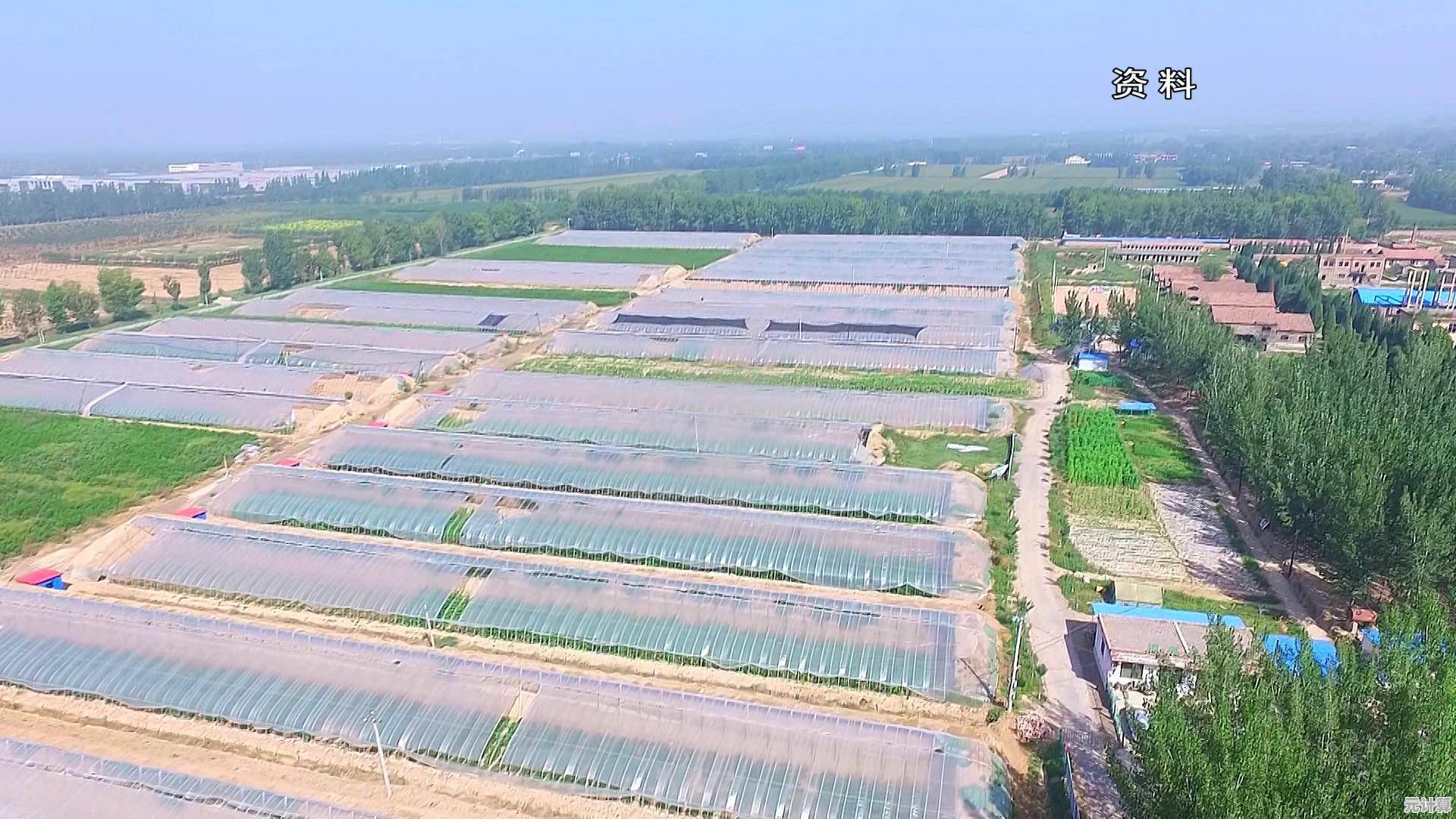 探索desktop.ini文件：系统桌面配置的核心机制与实用技巧