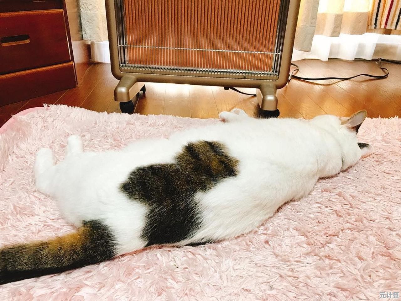 2025年手机散热问题高效解决方案,告别过热困扰 2025年手机散热问题高效解决方案,告别过热困扰