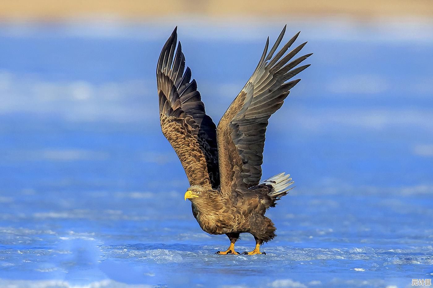 【QQ音乐网】畅享高清听觉盛宴,遨游多彩音乐海洋 【QQ音乐网】畅享高清听觉盛宴,遨游多彩音乐海洋