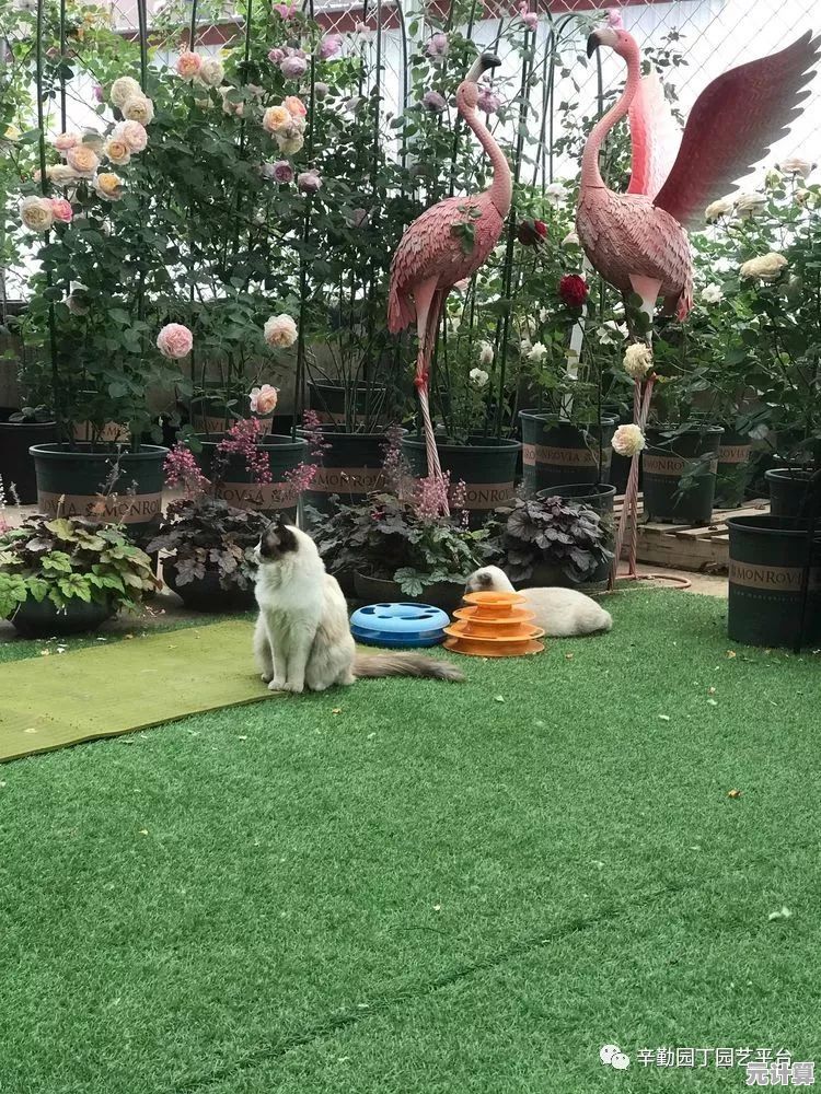 渴望在童话般的世界里养萌宠、种花园？我的休闲时光》手机版正是你的不二之选！