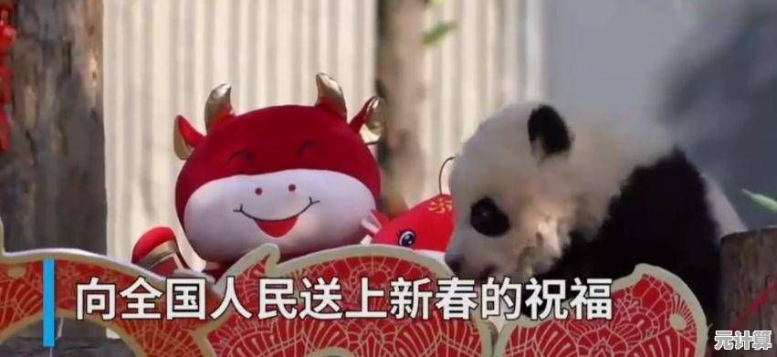 你准备好照顾可爱的BasPi了吗？萨卡班甲鱼》等你来玩！