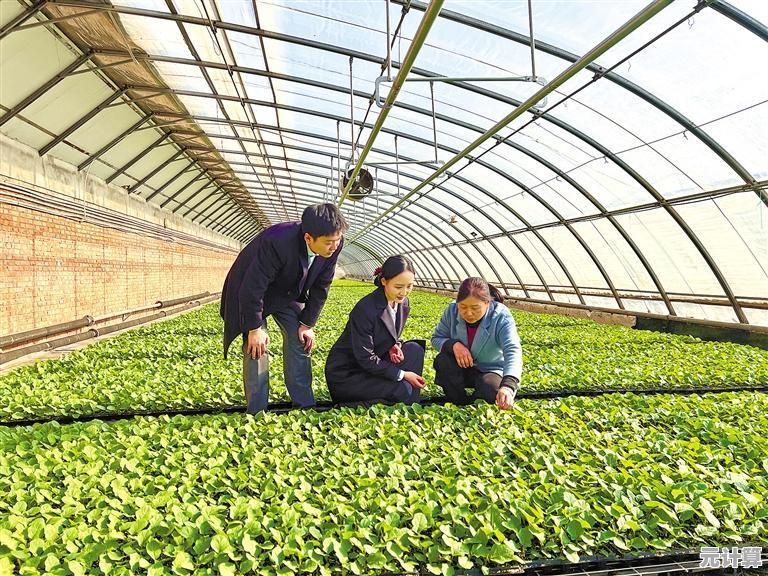 聚焦乡村振兴战略，山东农信以金融活水精准灌溉农村发展之路