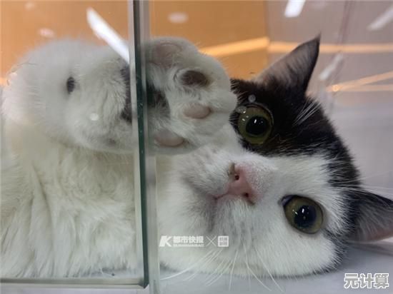 想成为最受欢迎的猫咖店长吗?萌宠养成系》让你体验超治愈的宠物经营乐趣! 想成为最受欢迎的猫咖店长吗?萌宠养成系》让你体验超治愈的宠物经营乐趣!