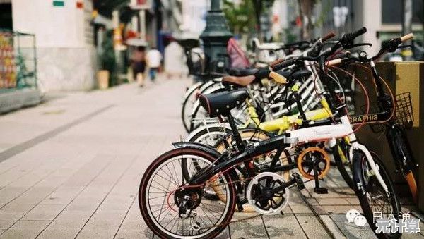 厌倦了普通打工？打工小能手》如何用一辆自行车挑战城市配送？