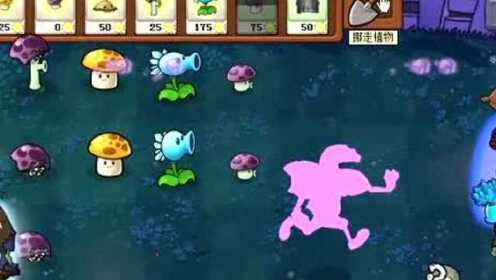 胆小菇也能carry全场？快来挑战《植物大战僵尸胆小菇之梦手机版》全新机制！