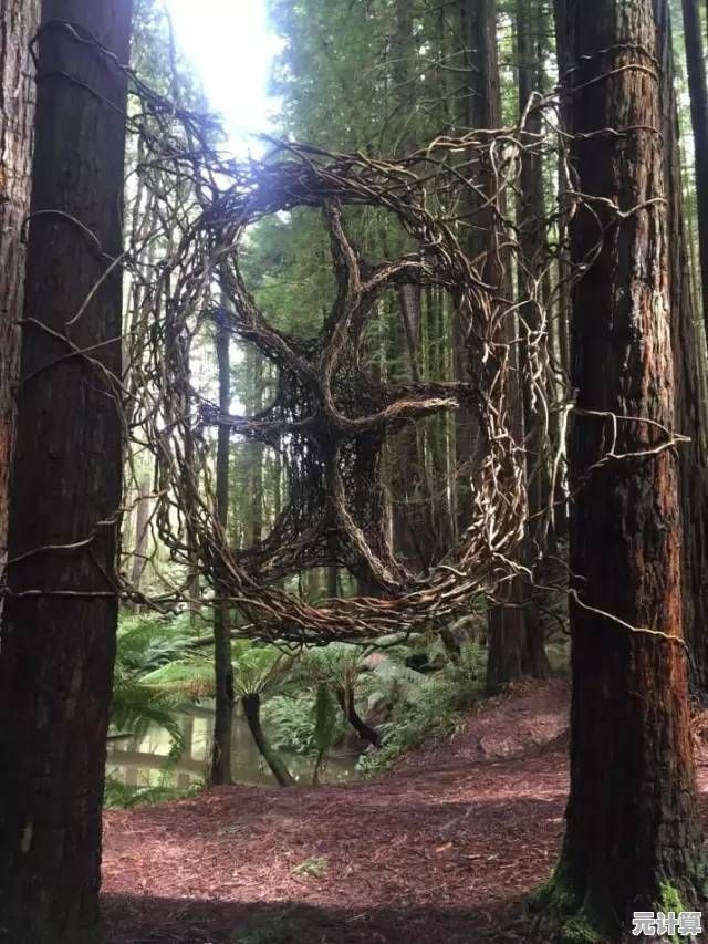 阴森森林中危机四伏，恐惧者森林》你能成功逃生吗？