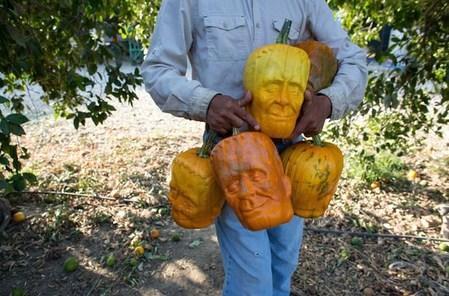 还在玩原版?植物大战僵尸杂交版3.0》新增南瓜加农炮和道具图鉴,不来试试吗? 还在玩原版?植物大战僵尸杂交版3.0》新增南瓜加农炮和道具图鉴,不来试试吗?