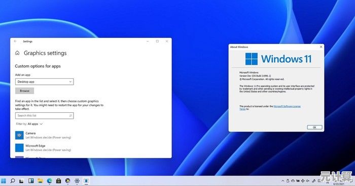 Windows 11适用显卡精选：高效兼容与流畅体验指南