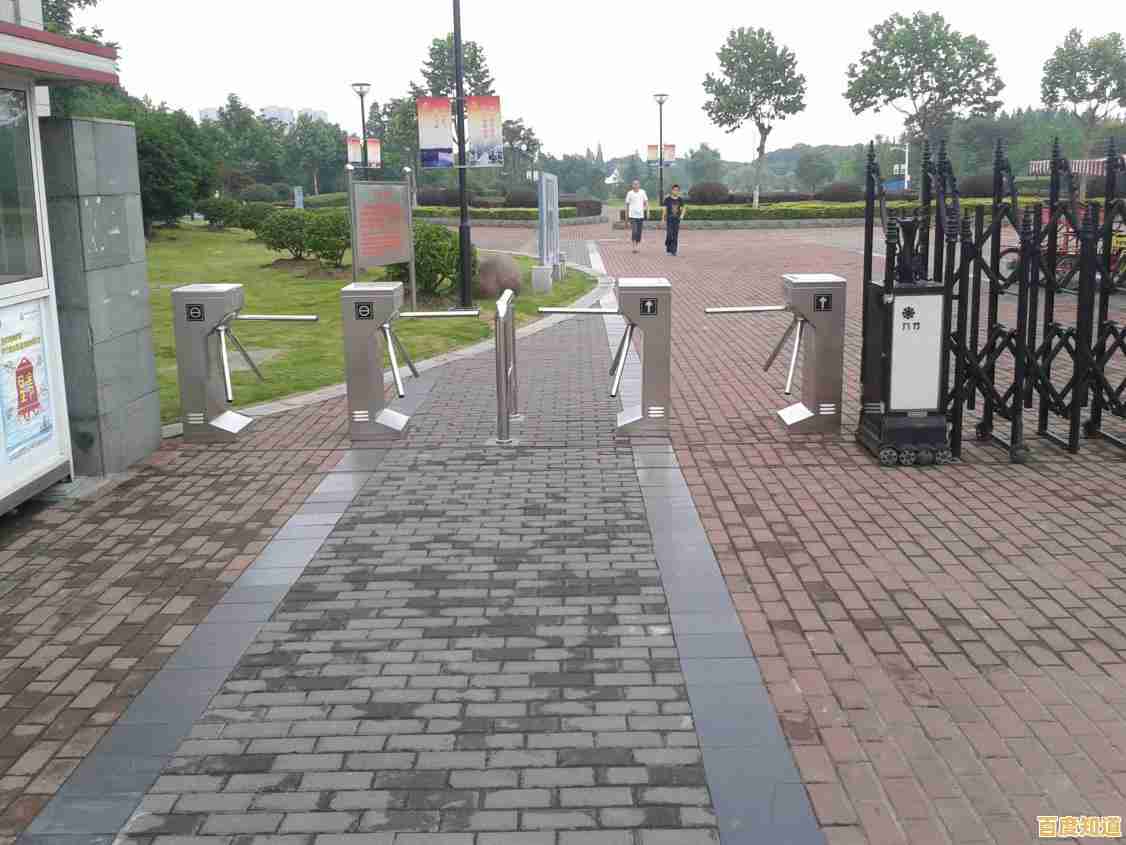 Win11系统兼容性问题致校园网登录失败，学生用户访问受阻