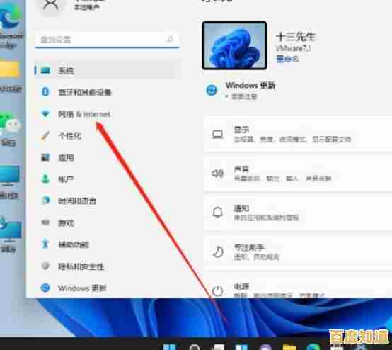 Win11网络设置教程：手把手教你配置静态IP地址与DNS