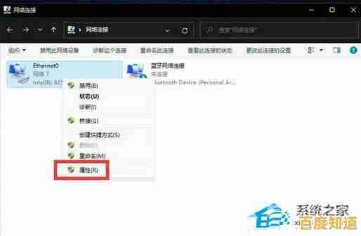 Win11网络设置教程：手把手教你配置静态IP地址与DNS