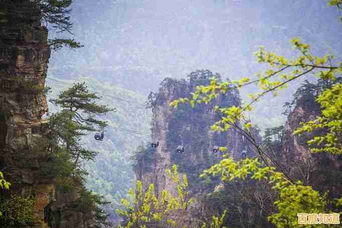 内存条品牌天梯图解析：找到匹配需求的内存条选购终极指南