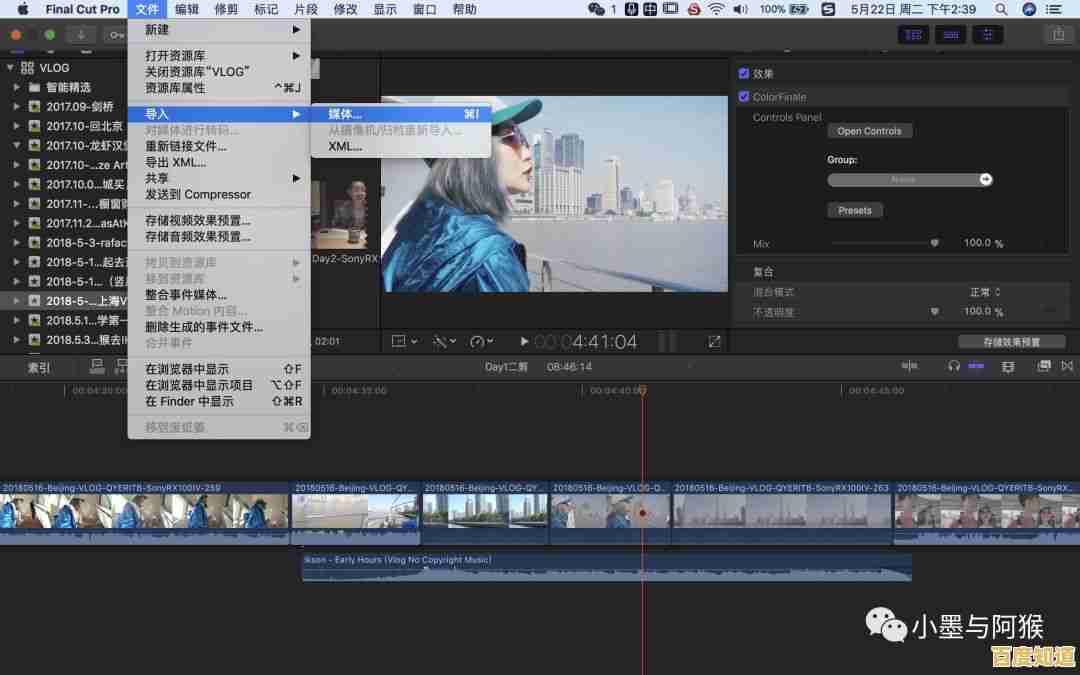 视频剪辑高手都在用的技巧，让你轻松掌握专业剪辑方法
