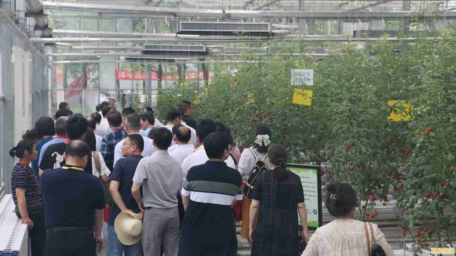 【qq农场论坛】分享高效种植技巧，探讨农业科技应用与创新