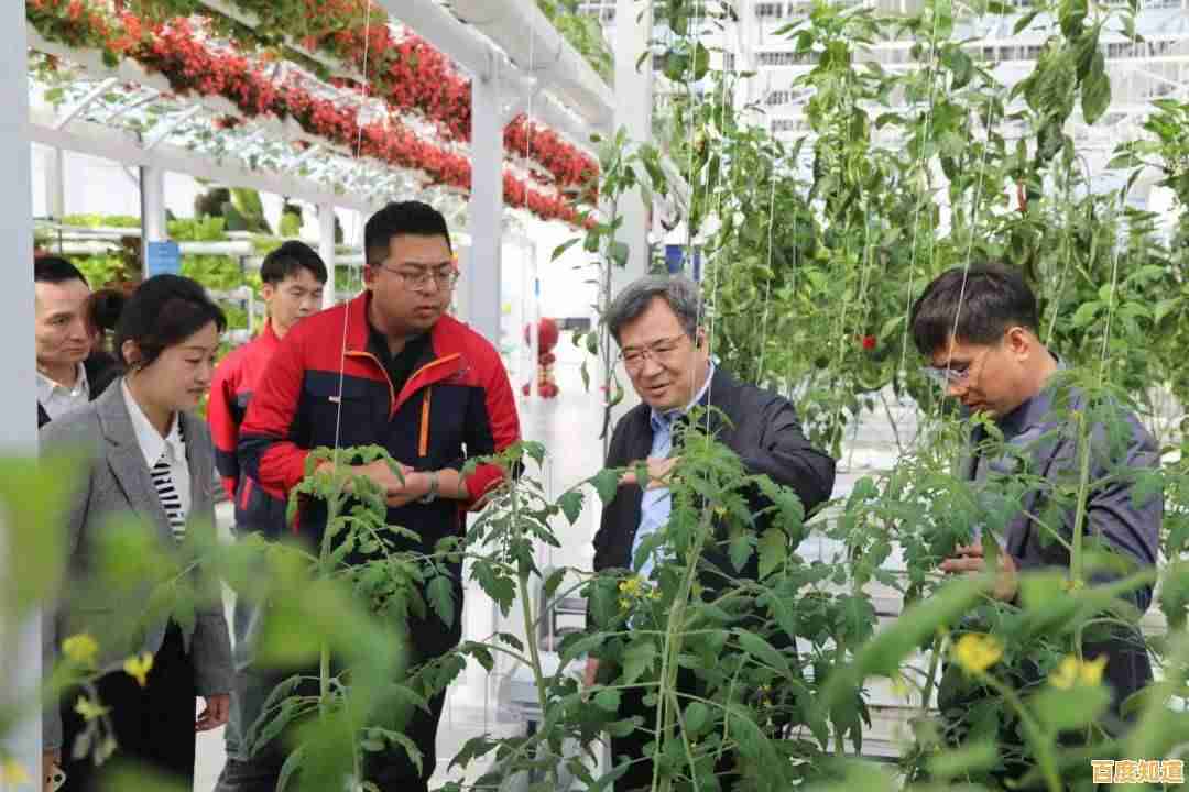 【qq农场论坛】分享高效种植技巧，探讨农业科技应用与创新