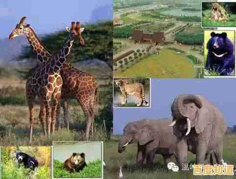 畸形动物园免费版：你的选择将决定生死，准备好逃出生天了吗？