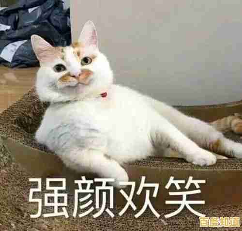 谁说养猫必须现实?猫咪后院汉化版》的卡通世界难道不能让你随时随地云吸猫? 谁说养猫必须现实?猫咪后院汉化版》的卡通世界难道不能让你随时随地云吸猫?