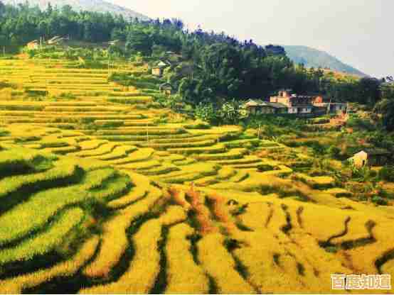 Office 2010激活全攻略：装机达人手把手教学