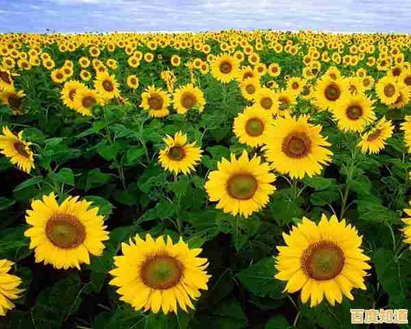 厌倦了单调的塔防玩法？保卫向日葵》的竖屏操作和杂交植物不香吗？