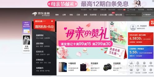 解锁京东白条隐藏功能：提升消费体验与资金管理的详细方法分享