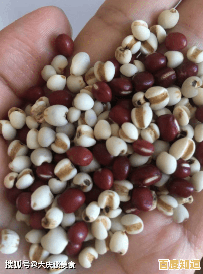 想体验无限搭配乐趣?快来试试《假期夏季装扮》吧! 想体验无限搭配乐趣?快来试试《假期夏季装扮》吧!