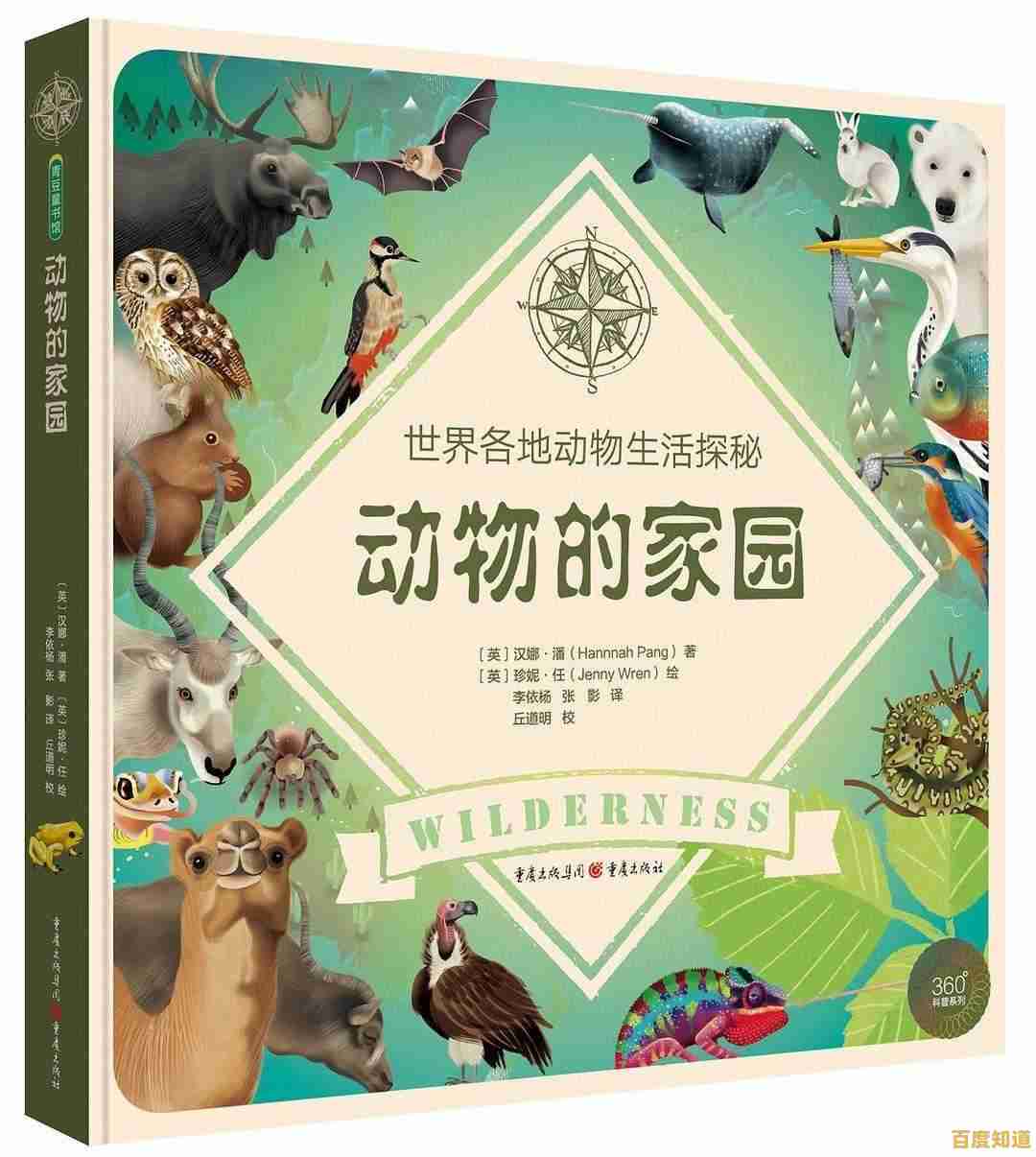 探索手机高清显示：每一帧都栩栩如生的视觉奇迹！