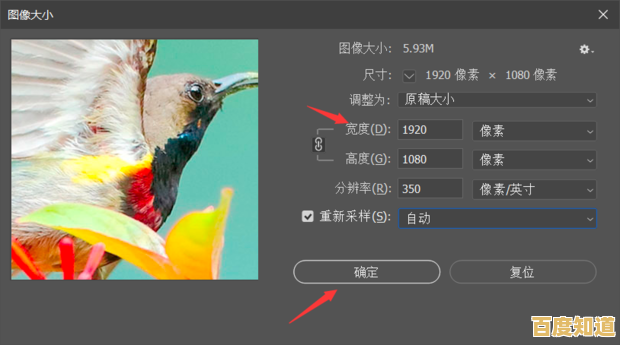 高效缩小图片尺寸的步骤指南,确保画质不失真且便于分享