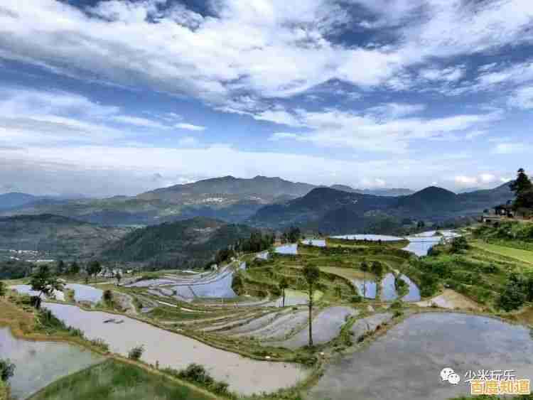 苹果芯片性能天梯指南:详细对比助你做出最佳设备选择