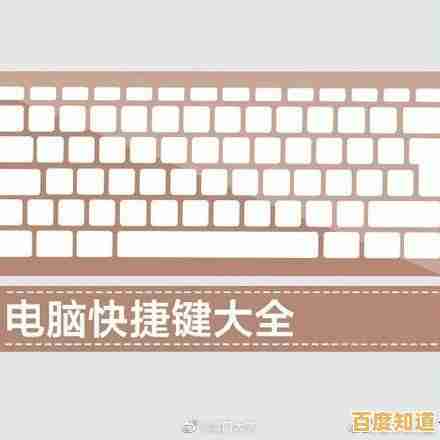 跟小鱼一起学习电脑常用快捷键，全面解锁高效办公新技能