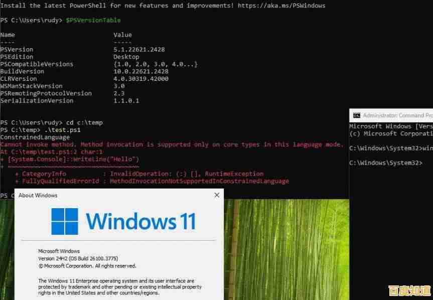 用户遭遇Win11默认浏览器非法篡改，隐私泄露风险急剧攀升