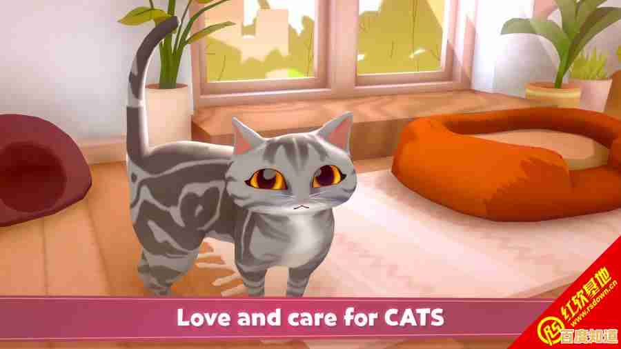 还在找休闲益智游戏?我的虚拟宠物猫》带你养猫交友两不误! 还在找休闲益智游戏?我的虚拟宠物猫》带你养猫交友两不误!