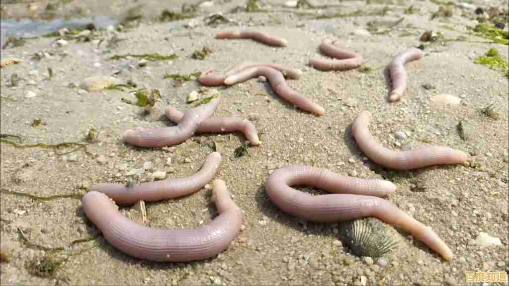 难道你不想体验躲沙虫(Sandworms)带来的放松与快乐吗? 难道你不想体验躲沙虫(Sandworms)带来的放松与快乐吗?