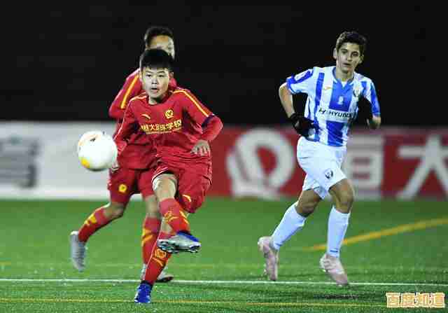 如何打造你的冠军之队？足球明星2019(SS 2019)带你圆梦足球经理人！