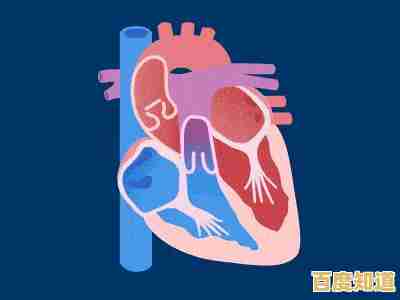 Windows 11更新在笔记本端受阻的可能诱因与排查方案分析 Windows 11更新在笔记本端受阻的可能诱因与排查方案分析