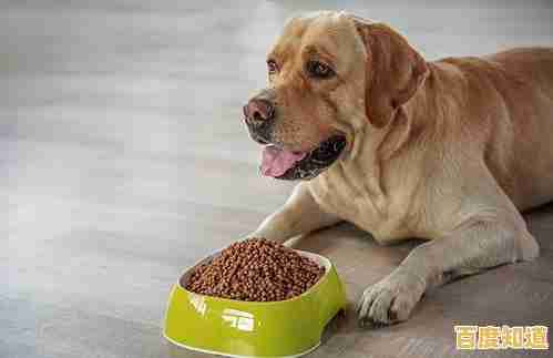 还在找操作简单的休闲手游？再见吧我的脂肪》挑战你的反应力！