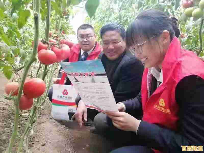 山东农村信用社:深耕乡村沃土,谱写振兴新篇章的服务实践 山东农村信用社:深耕乡村沃土,谱写振兴新篇章的服务实践