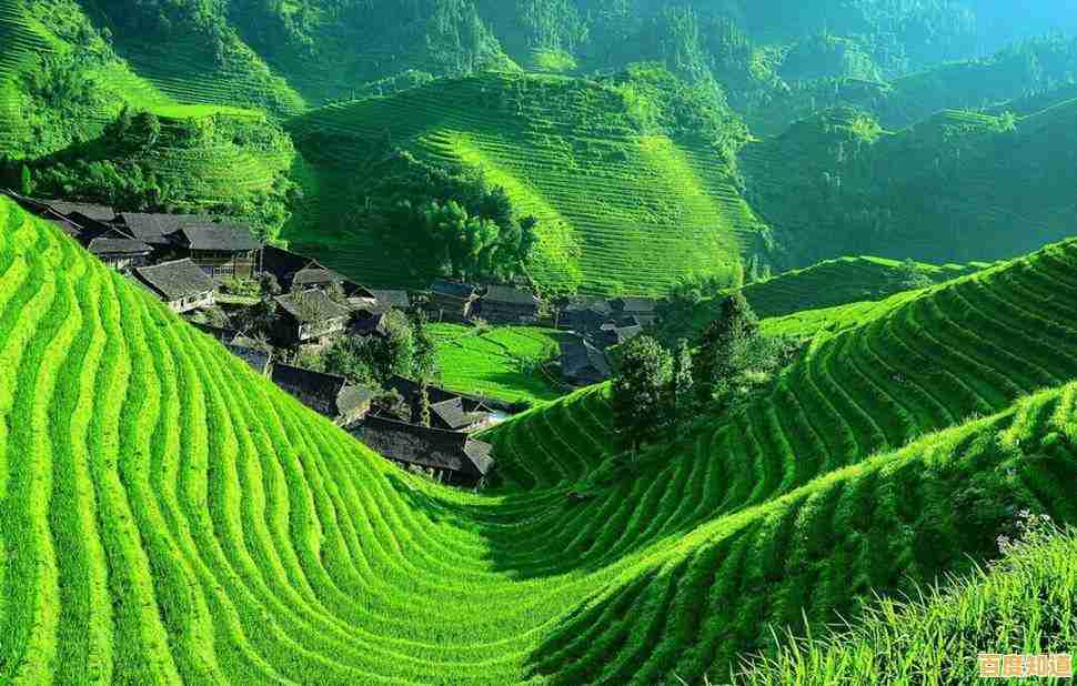 最佳相机选购指南:天梯排名解析各大品牌明星机型,轻松拍出专业级作品! 最佳相机选购指南:天梯排名解析各大品牌明星机型,轻松拍出专业级作品!