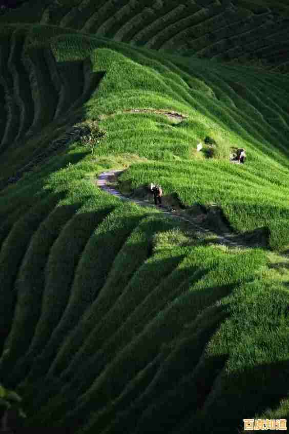 最佳相机选购指南:天梯排名解析各大品牌明星机型,轻松拍出专业级作品! 最佳相机选购指南:天梯排名解析各大品牌明星机型,轻松拍出专业级作品!