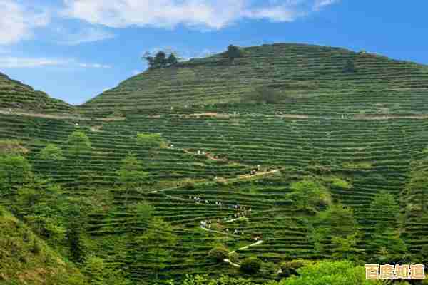 2022硬盘天梯图权威发布:一图看懂主流硬盘性能与市场动态! 2022硬盘天梯图权威发布:一图看懂主流硬盘性能与市场动态!